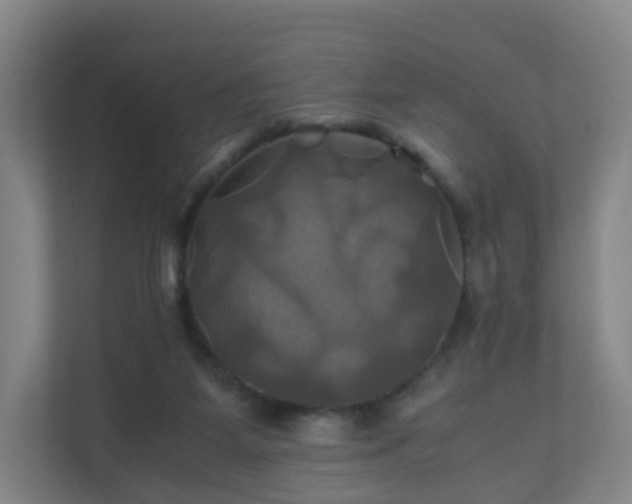 X0000110990115200906261457