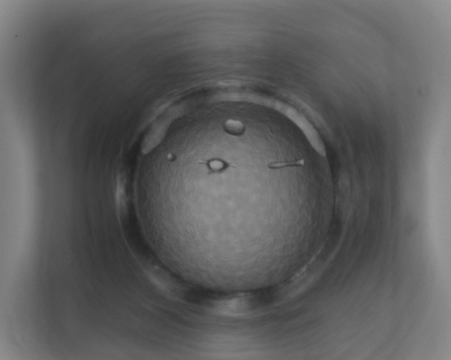 X0000110990116200906261457