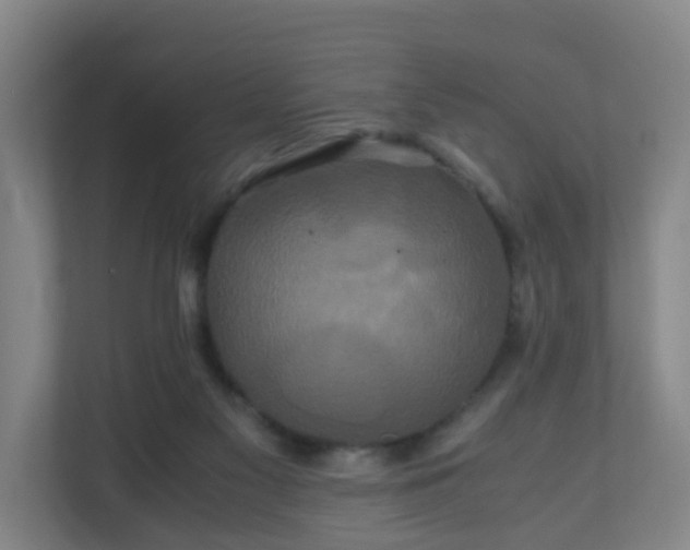 X0000110990117200906261457