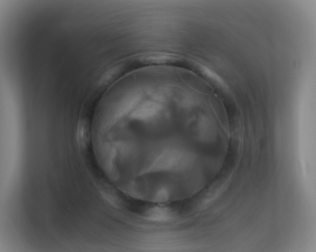 X0000110990119200906261457