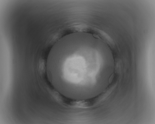 X0000110990121200906261457