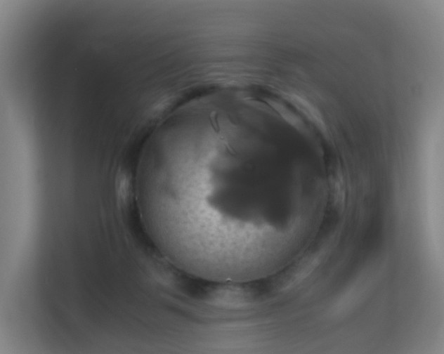 X0000110990123200906261457