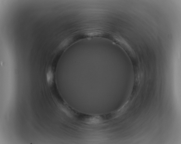 X0000110990124200906261457