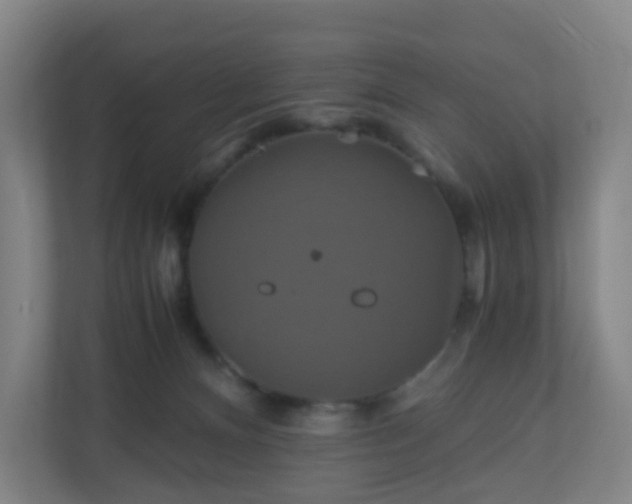 X0000110990128200906261457