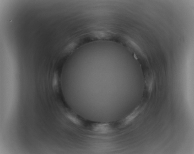 X0000110990132200906261457