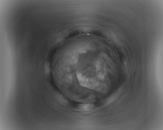 X0000110990135200906261457