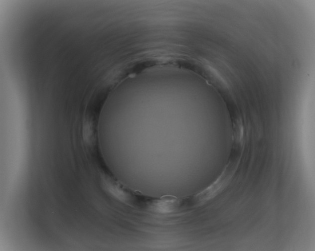 X0000110990136200906261457