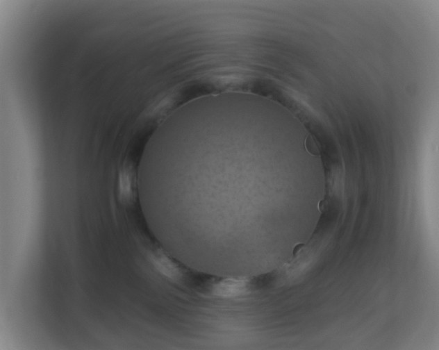 X0000110990138200906261457