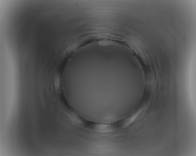 X0000110990139200906261457
