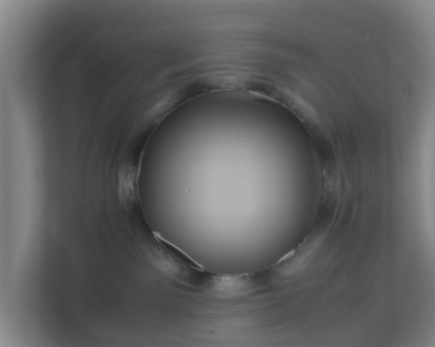 X0000110990141200906261457