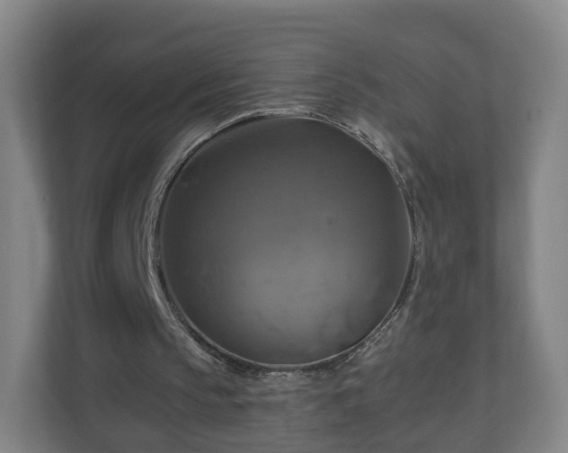 X0000110990145200906261456
