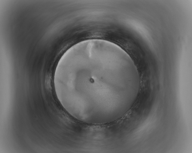 X0000110990146200906261456