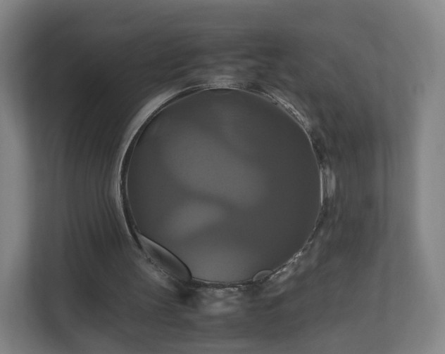 X0000110990147200906261456