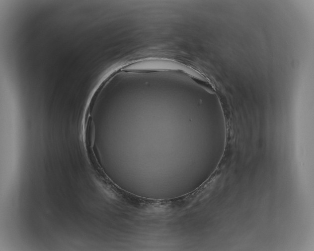X0000110990148200906261456