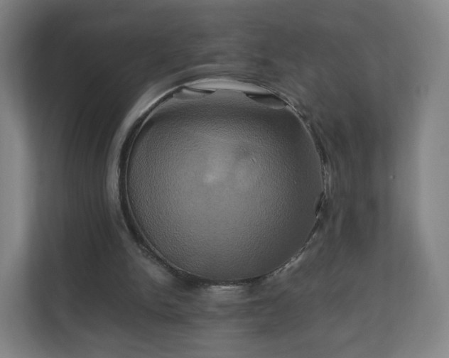 X0000110990150200906261456