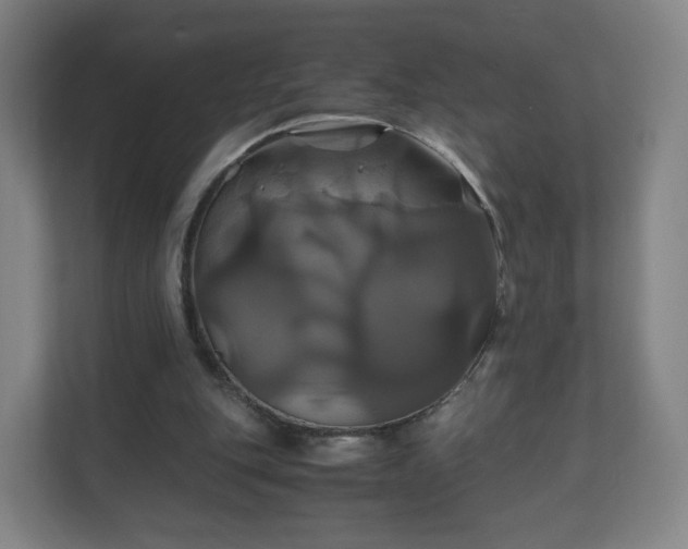 X0000110990151200906261456