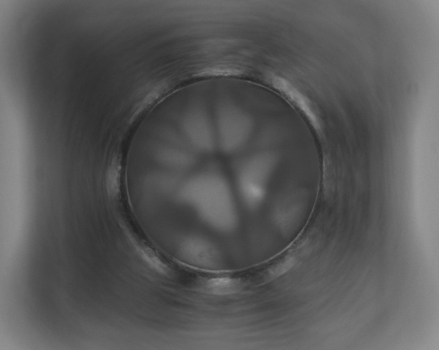 X0000110990153200906261456