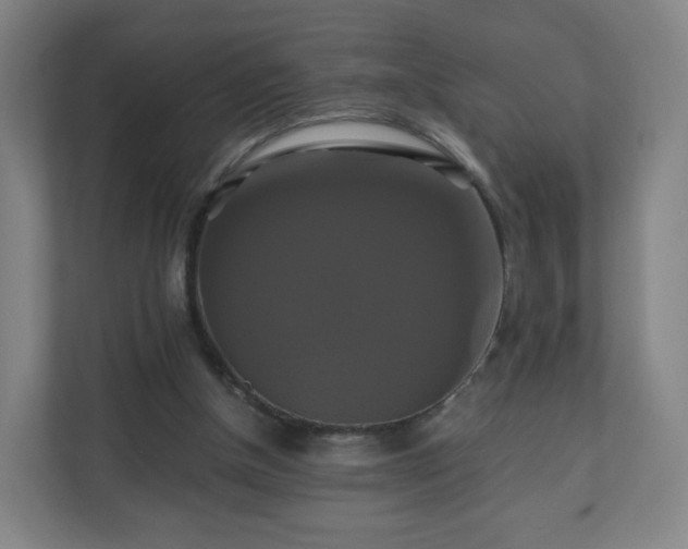 X0000110990154200906261456