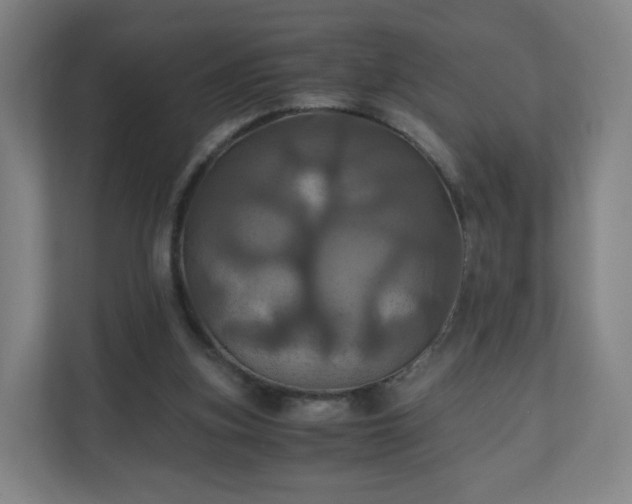 X0000110990155200906261456
