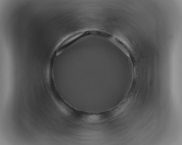 X0000110990156200906261456