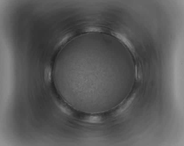 X0000110990157200906261456
