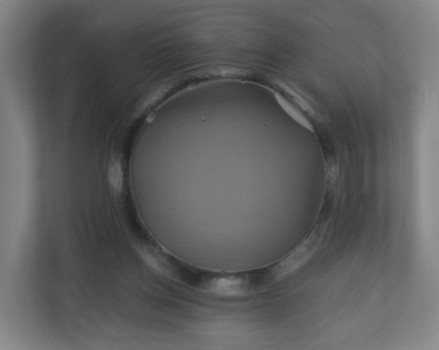 X0000110990158200906261456