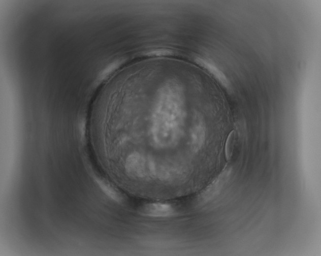X0000110990159200906261456