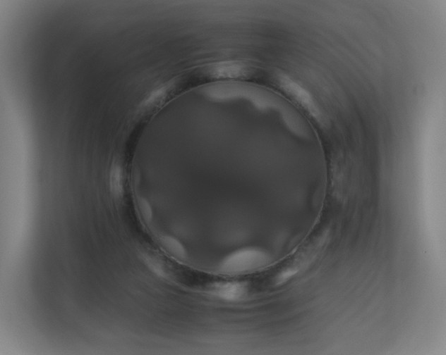 X0000110990161200906261457