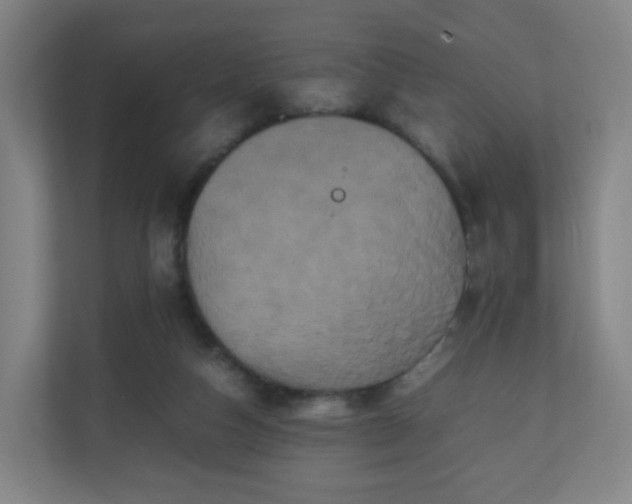 X0000110990162200906261457