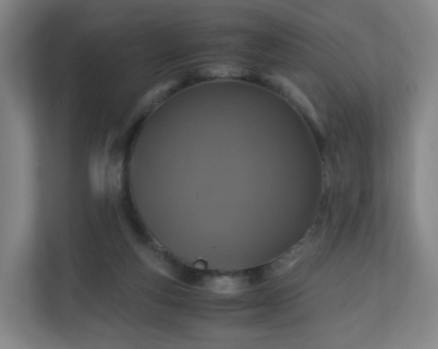 X0000110990163200906261457