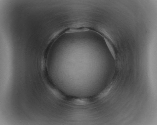 X0000110990164200906261457