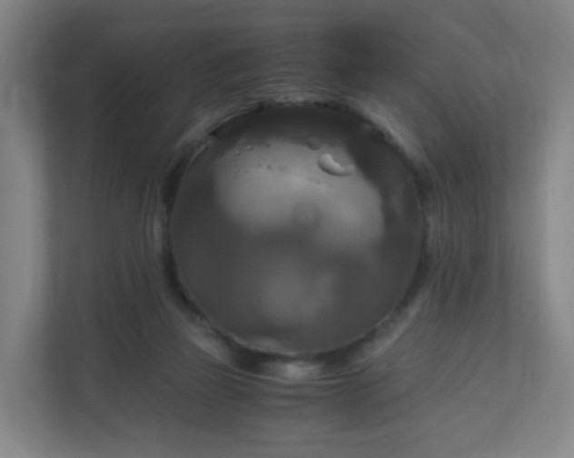 X0000110990165200906261457