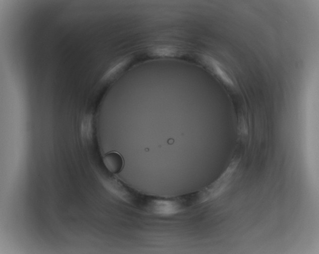 X0000110990167200906261457
