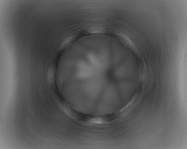 X0000110990171200906261457