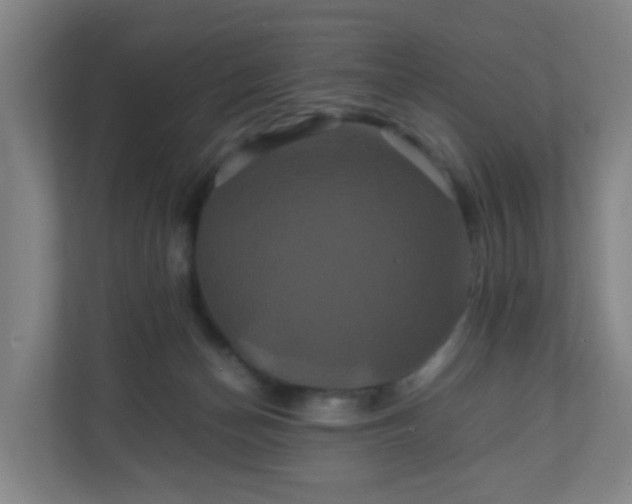 X0000110990174200906261457