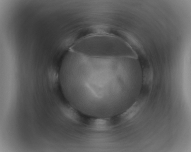 X0000110990176200906261457