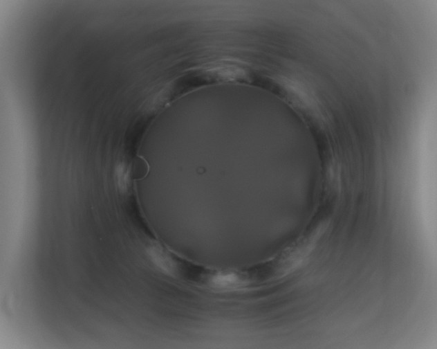 X0000110990177200906261457