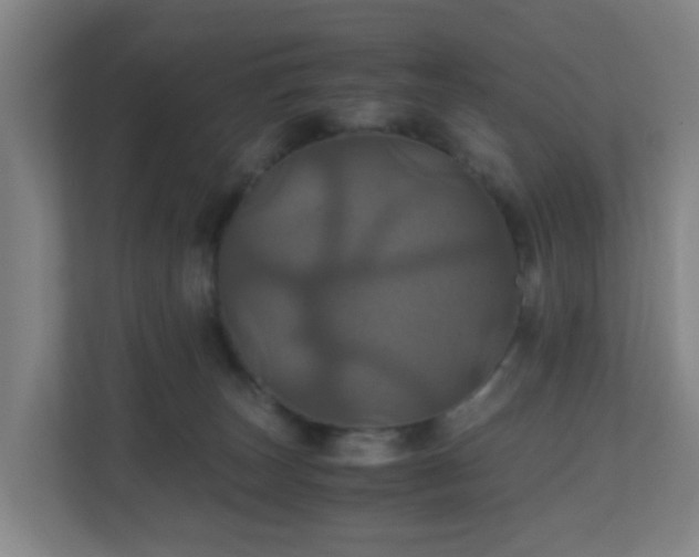 X0000110990179200906261457