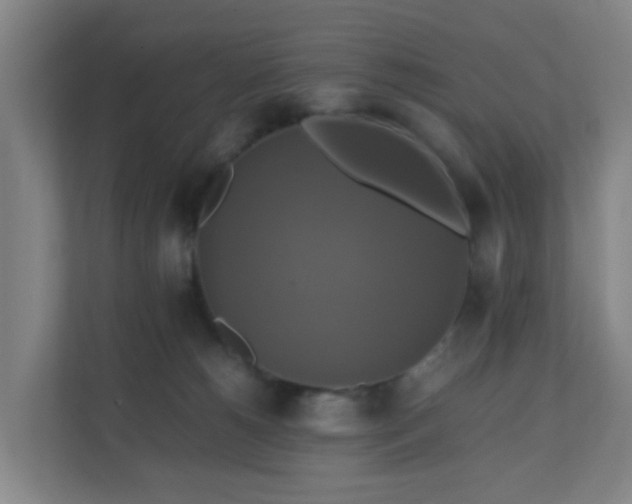 X0000110990180200906261457