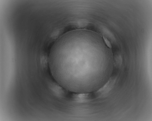 X0000110990184200906261457