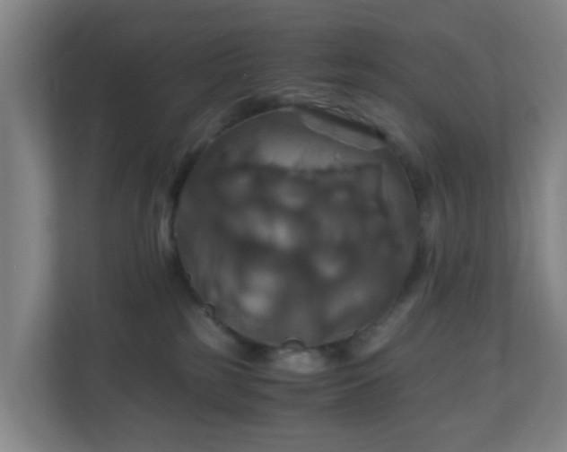 X0000110990185200906261457