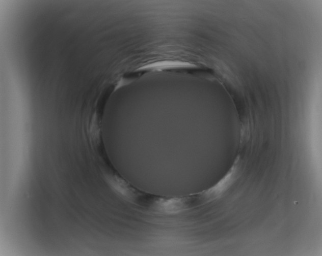 X0000110990186200906261457