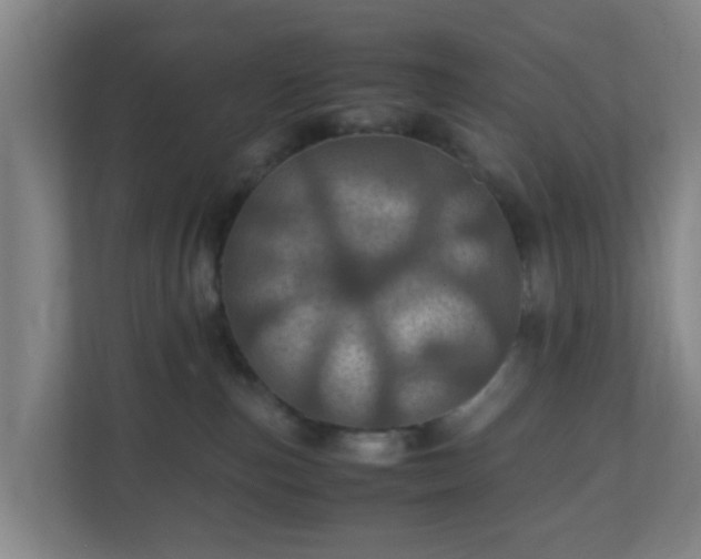 X0000110990187200906261457