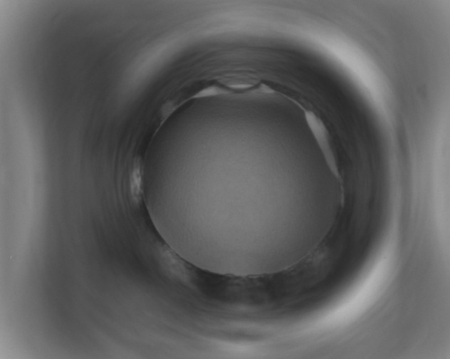 X0000110990190200906261457