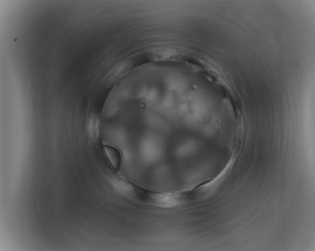 X0000110990191200906261457