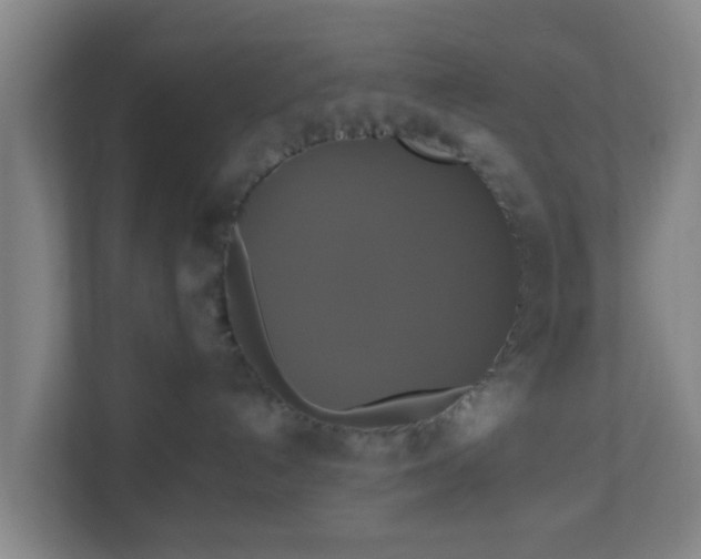 X0000110990192200906261457
