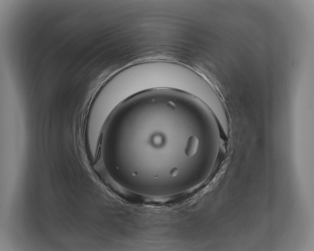 X0000110990193200906261456