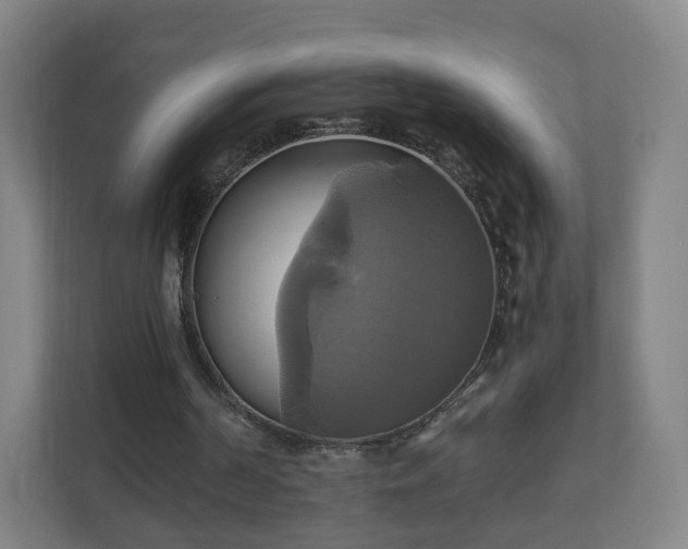 X0000110990194200906261456