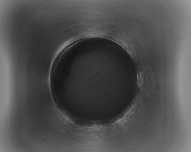 X0000110990196200906261456
