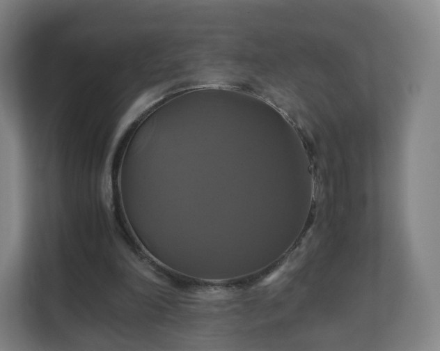 X0000110990198200906261456